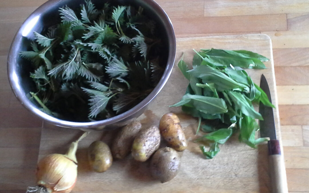 Nettle and Wild Garlic Soup
