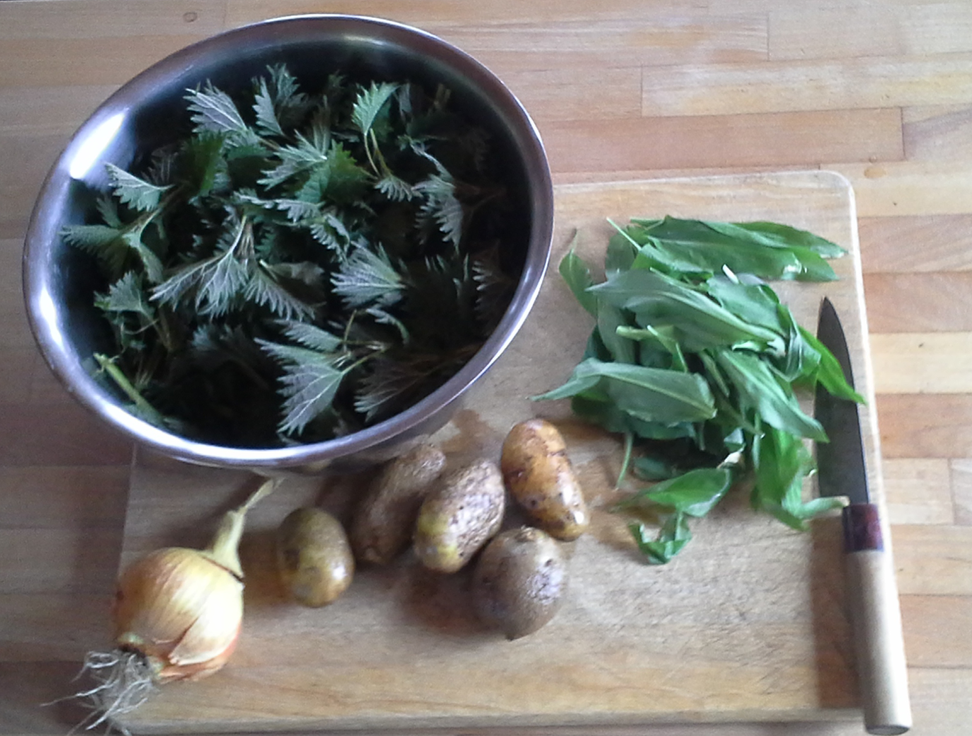 Nettle and Wild Garlic Soup