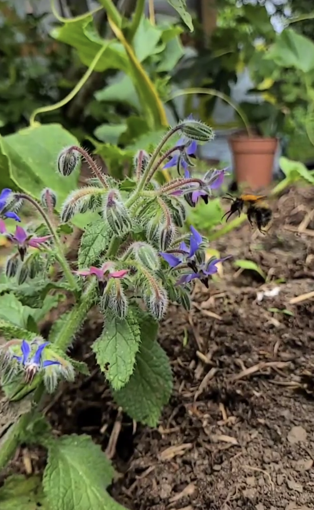 Screenshot 2026-02-17 at 7.34.07 PM